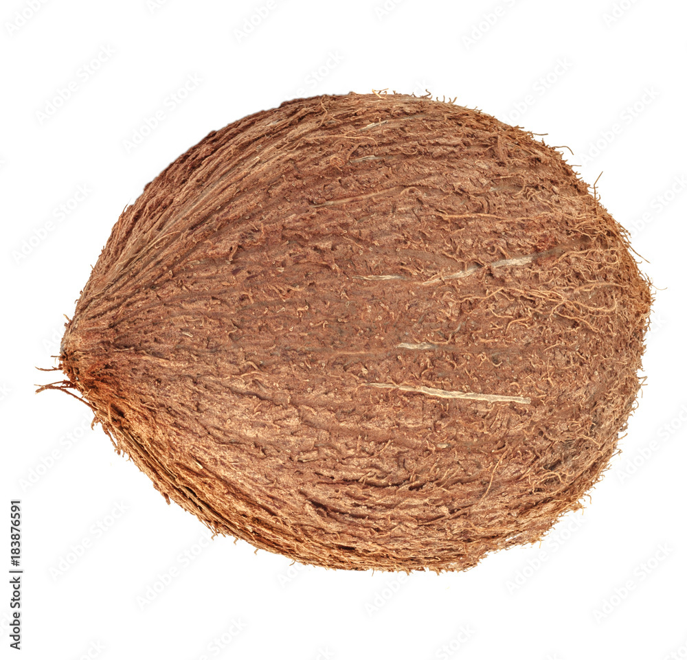  brown coconut on white background