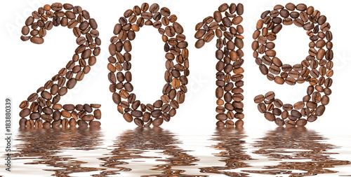 Numeral 2019 from coffee beans, reflection in water, isolated on white background