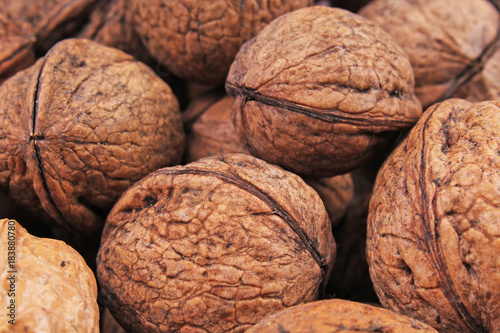Walnut texture. Brown big walnuts as background. walnut nuts pattern close up...