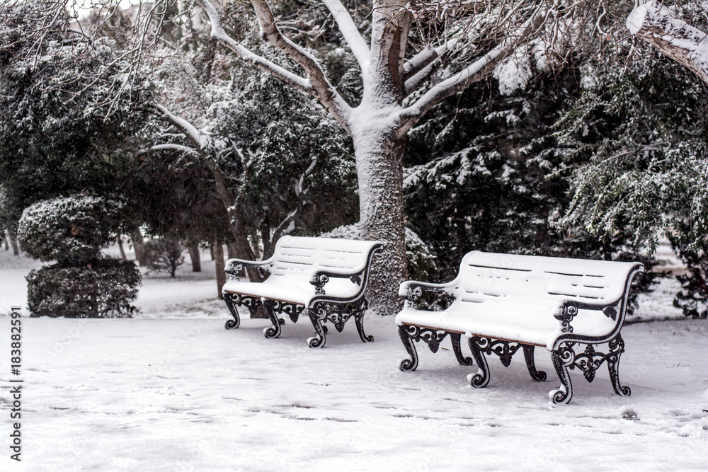 Empty bench in snowly park