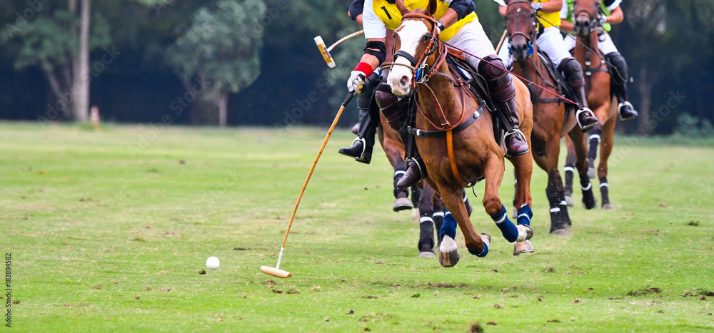 Polo horse player riding a horse