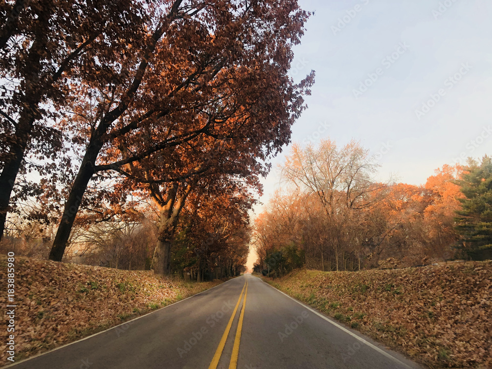 Naklejka premium Autumn Scenic Highway Road with Colorful Fall Tree Leaves Foliage