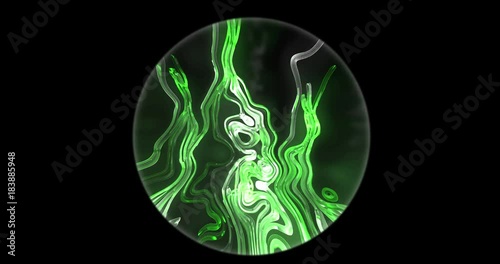 Looking through a microscope at Tapeworms