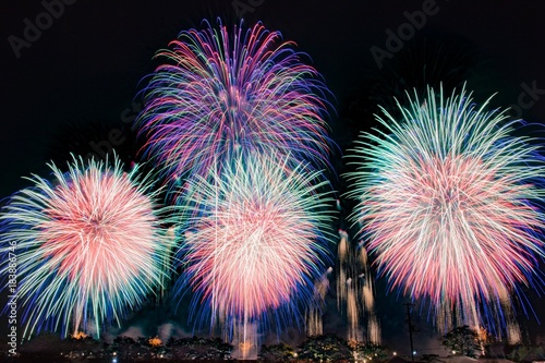 視界一面の大きな花火