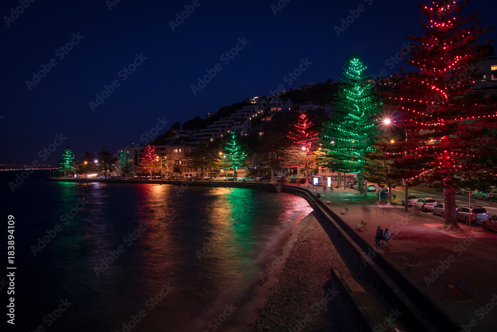 New Zealand Christmas Trees, Oriental Parade, Wellington City At Night 