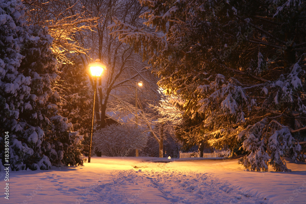 Beautiful winter night background. Beautiful winter evening landscape with  footprints on a covered by fresh snow alley and shining lanterns in a park.  Stock Photo