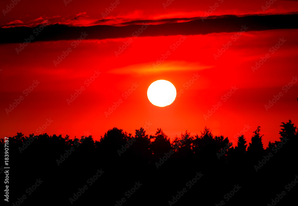  Fiery sunset over the forest, a sense of humility and inspiration