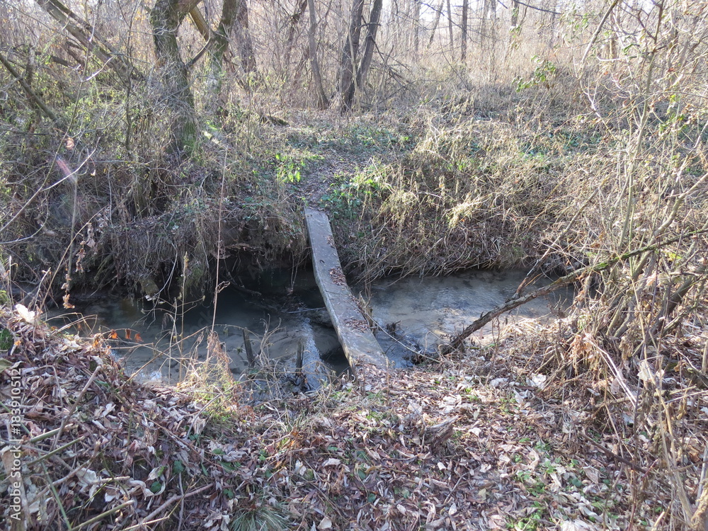 A forest stream. November. Village. Bryansk district. (The Vast Russia! Sergey, Bryansk.) A forest stream. November. Village. Bryansk district. (The Vast Russia! Sergey, Bryansk.)