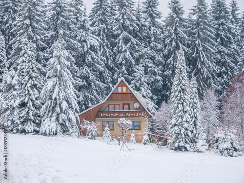 Einsames aus in einer Winterlandschaft © Animaflora PicsStock