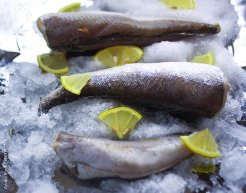 Fresh raw sea fish and lemon peces on ice surface. photo