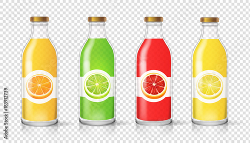 Glass juice bottle with citrus label template Packaging set vector