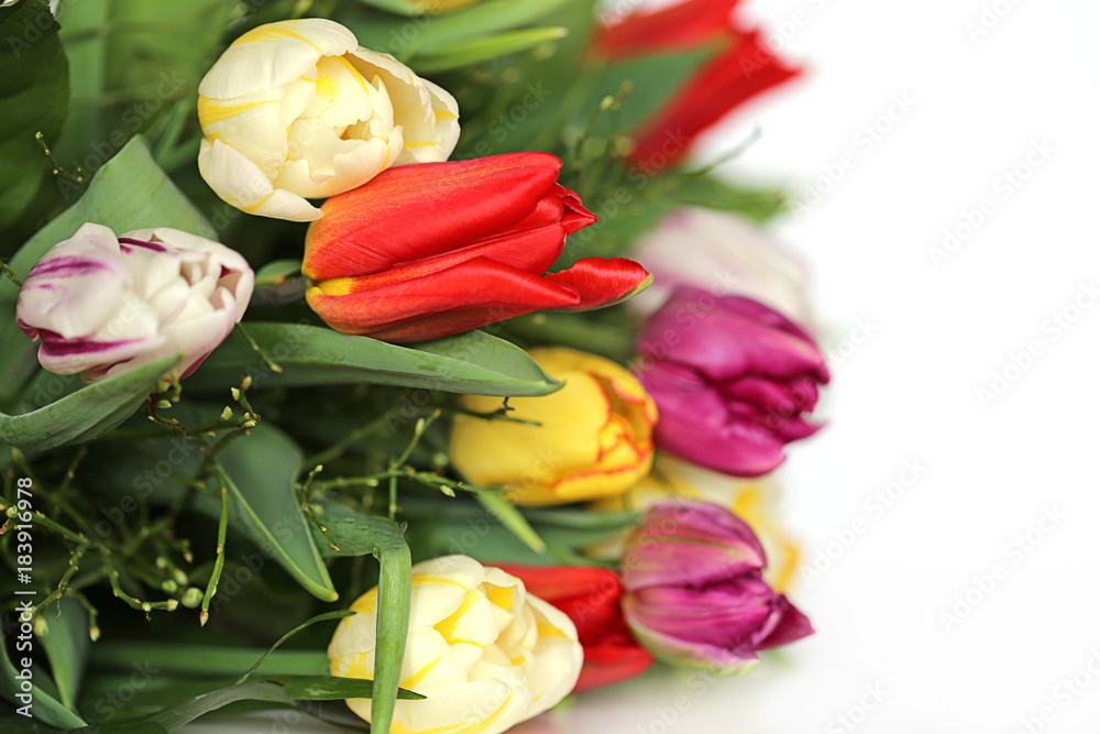 Fototapeta premium Tulip flower. Bouquet of tulips on a white background. copy space. Spring flowers