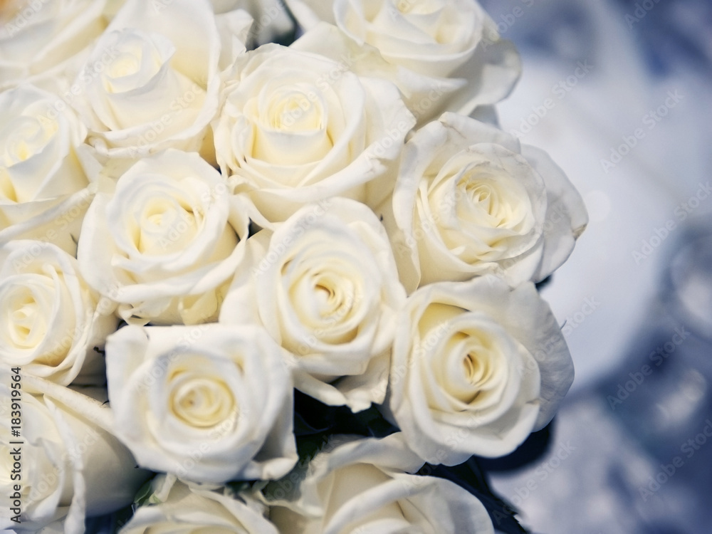 Wedding bouquet of white roses. Closeup, background