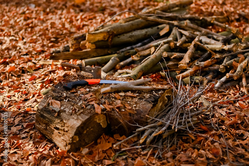 Wallpaper Mural chopping wood with ax and saw Torontodigital.ca