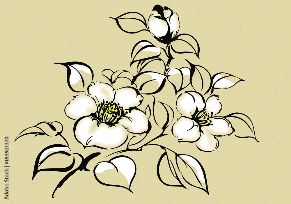 つばきのイラスト 白 Stock ベクター Adobe Stock