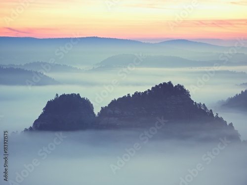 Dreamy landscape lost in thick fog. Fantastic morning glowing by gentle sunlight, foggy valley.