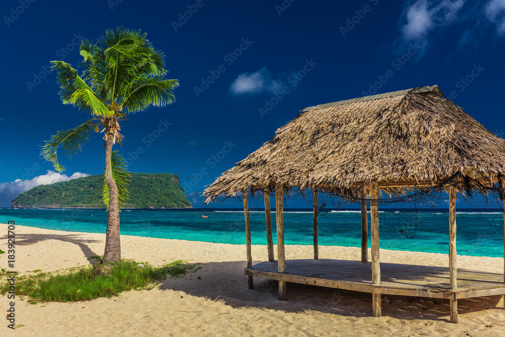 Tropical vibrant natural beach on Samoa Island with palm tree and fale