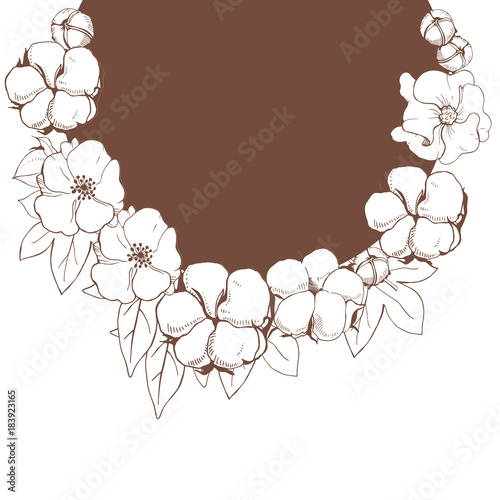 Hand drawn flowers. Cotton plant flower.Black and white line illustration of cotton flowers.