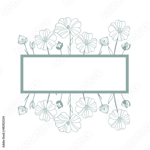Hand drawn flowers. Flax  plant flowers.