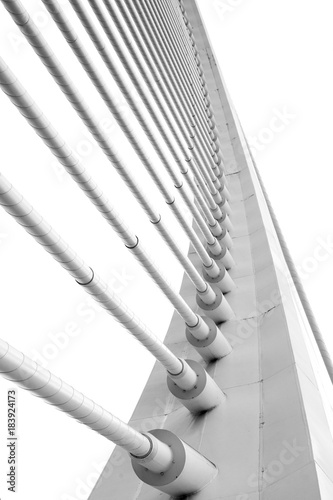 black and white photograph of the bridge fragment