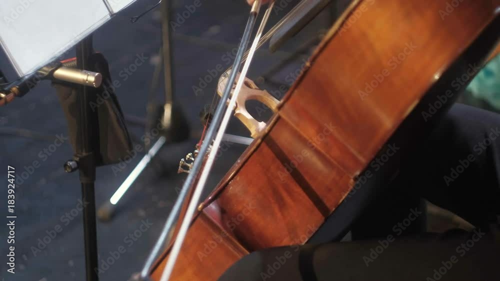 symphonic orchestra cello play in a large hall symphonic orchestra cello play in a large hall