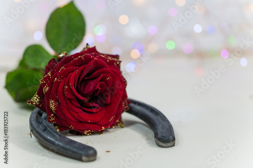 Horseshoe with red rose, good luck charm, birthday