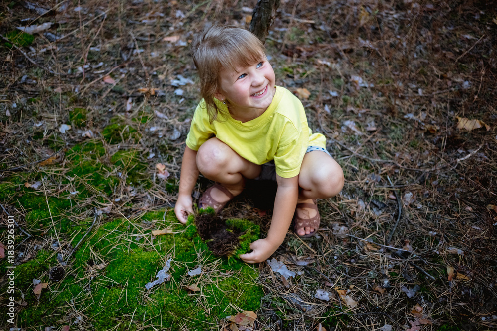 Beautiful little girl in the pine forest in summer. Beautiful little girl in the pine forest in summer.
