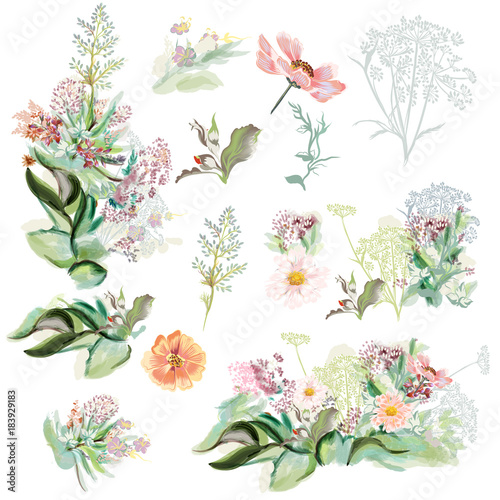Collection of hand drawn flowers in watercolor style