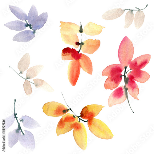 Fototapeta Naklejka Na Ścianę i Meble -  Watercolor flowers pattern