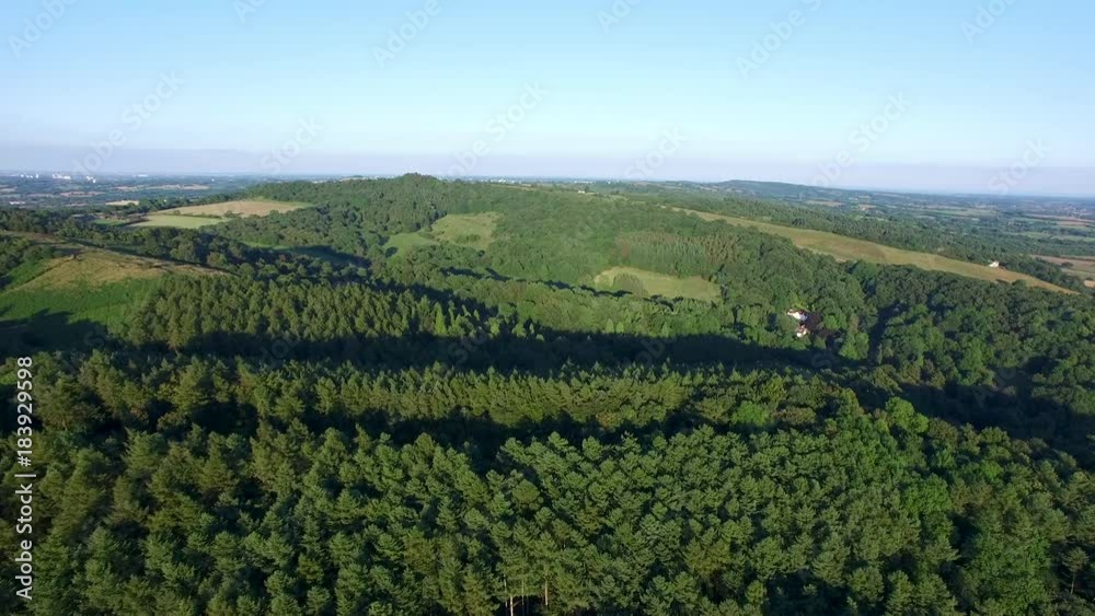 A steady aerial shot of green tall trees in the woods. A steady aerial shot of green tall trees in the woods.
