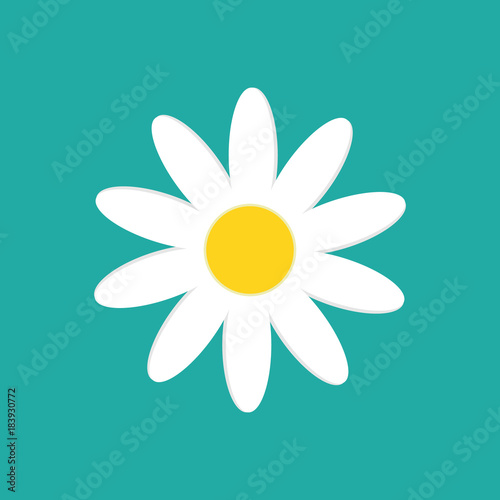 Fototapeta Naklejka Na Ścianę i Meble -  Daisy chamomile isolated on white background. Vector illustration.