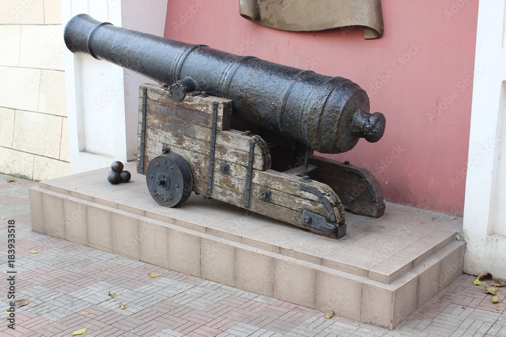 Old cannon with cores