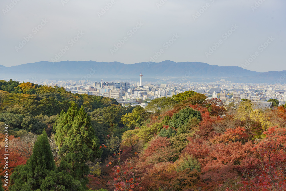Aerial view of the Kyoto cityscape from Otowa-san Kiyomizu-dera with fall color