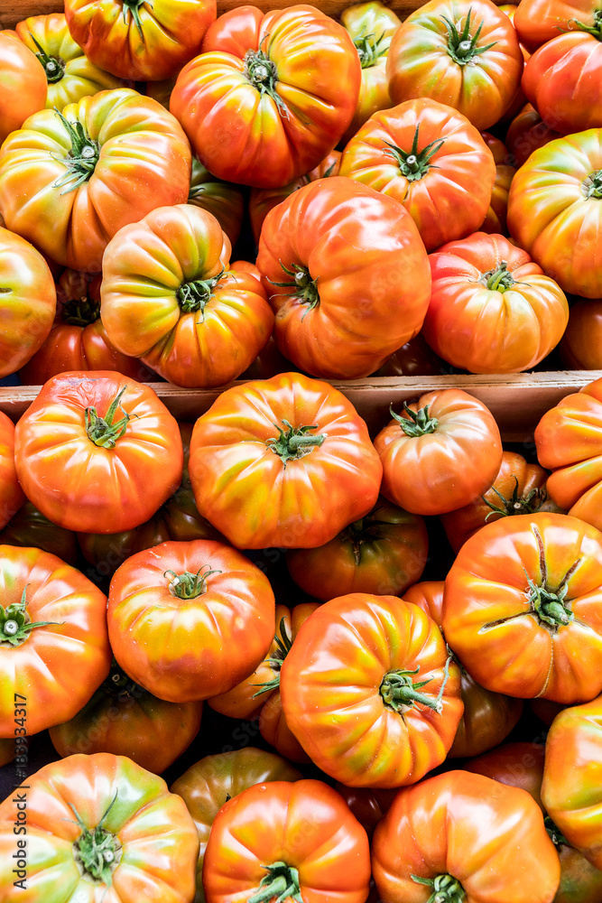 Lots of tomatoes. Top view. Lots of tomatoes. Top view.