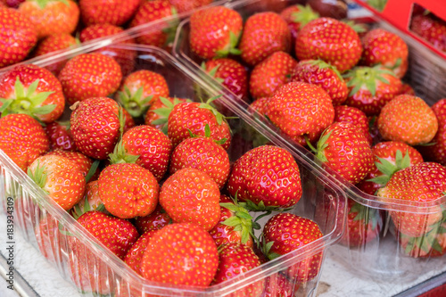 Strawberries in the plastic tray.