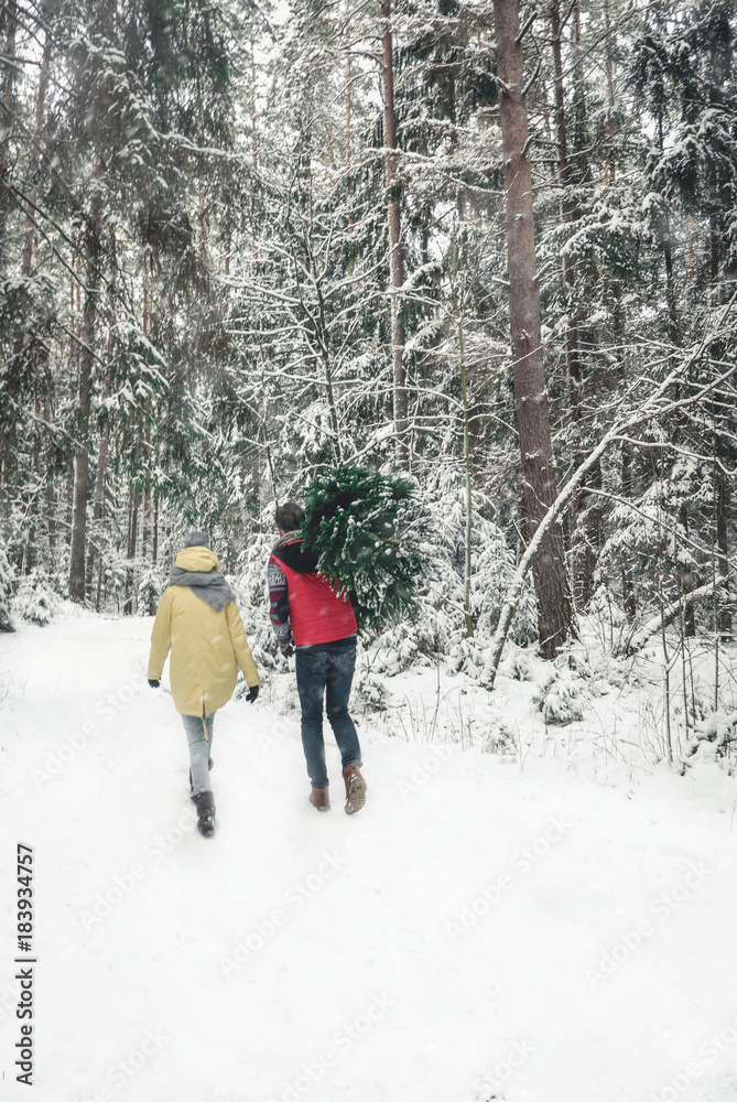 Beautiful Caucasian cople bringing a Christmas tree back home from forest