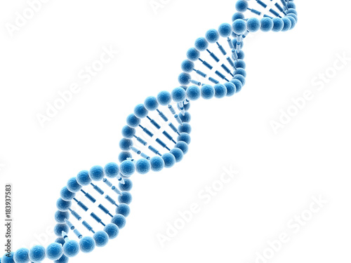 Concept of biochemistry with dna molecule isolated in white background  3d rendering