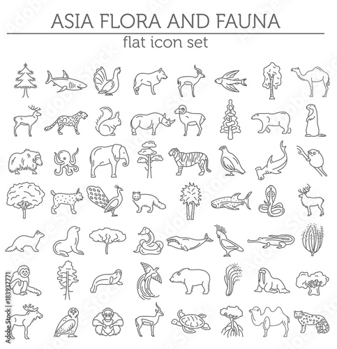 Flat Asian flora and fauna elements. Animals, birds and sea life simple line icon set