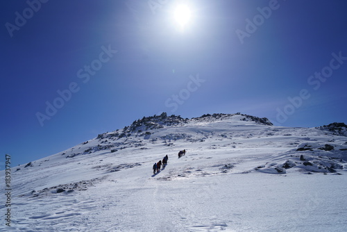 厳冬の八ヶ岳天狗岳。憧れの雪山を目指す登山者