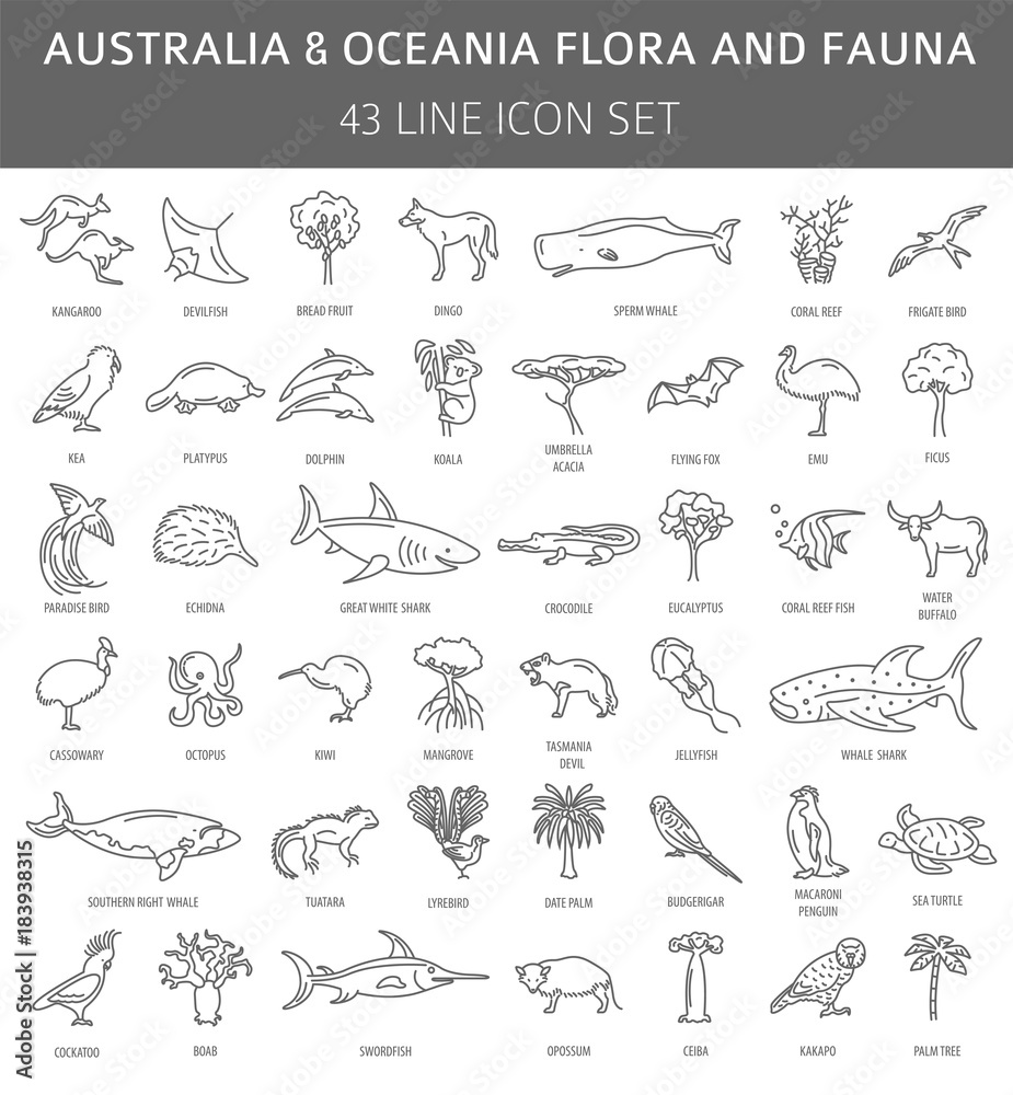 Flat Australia and Oceania flora and fauna  elements. Animals, birds and sea life simple line icon set