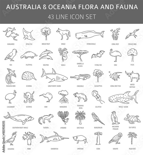 Flat Australia and Oceania flora and fauna  elements. Animals, birds and sea life simple line icon set