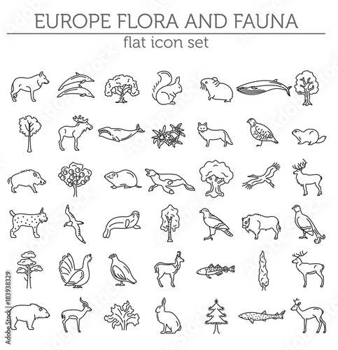 Flat European flora and fauna elements. Animals, birds and sea life simple line icon set