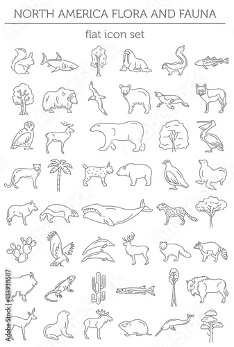 Flat North America flora and fauna  elements. Animals, birds and sea life simple line icon set photo