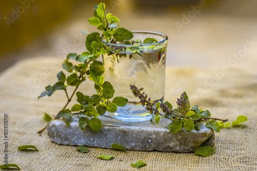 Water of holy basil, tulsi or Ocimum tenuiflorum in a transparent glass.