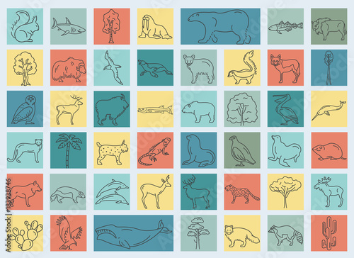 Flat North America flora and fauna  elements. Animals, birds and sea life simple line icon set