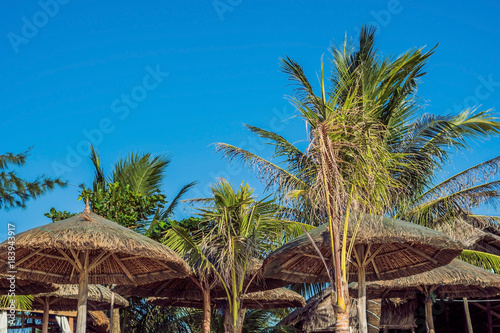 Vacation in tropical countries. Beach chairs, umbrella and palms on the beach photo