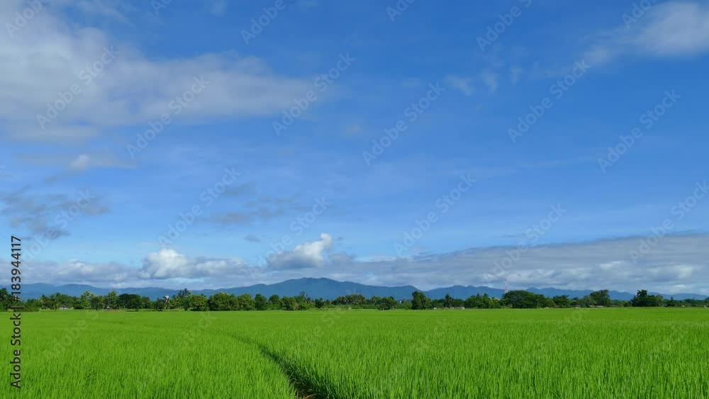 clouds over the green field. 4K clouds over the green field. 4K