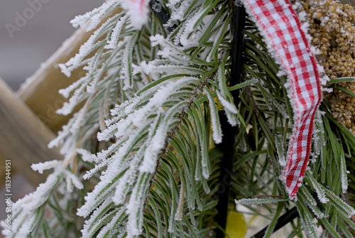 Ice crystalls on winter decoration photo