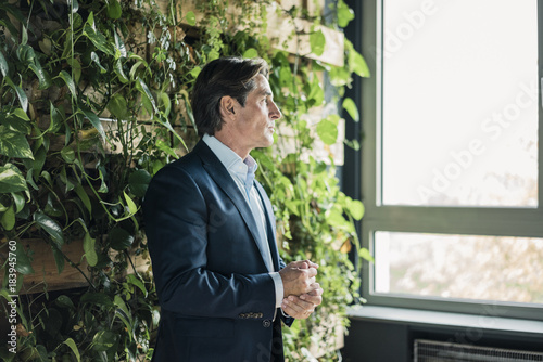 Businessman in green office looking out of window photo