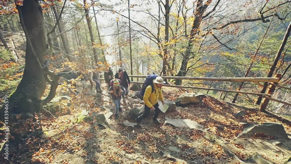 Group of tourists trekking in autumnal forest Group of tourists trekking in autumnal forest